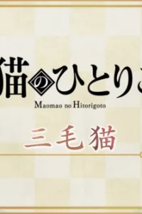 Монолог Маомао 2