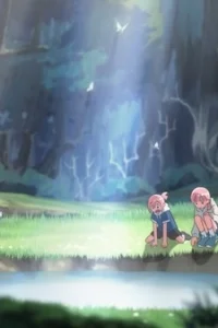 Страна Номо